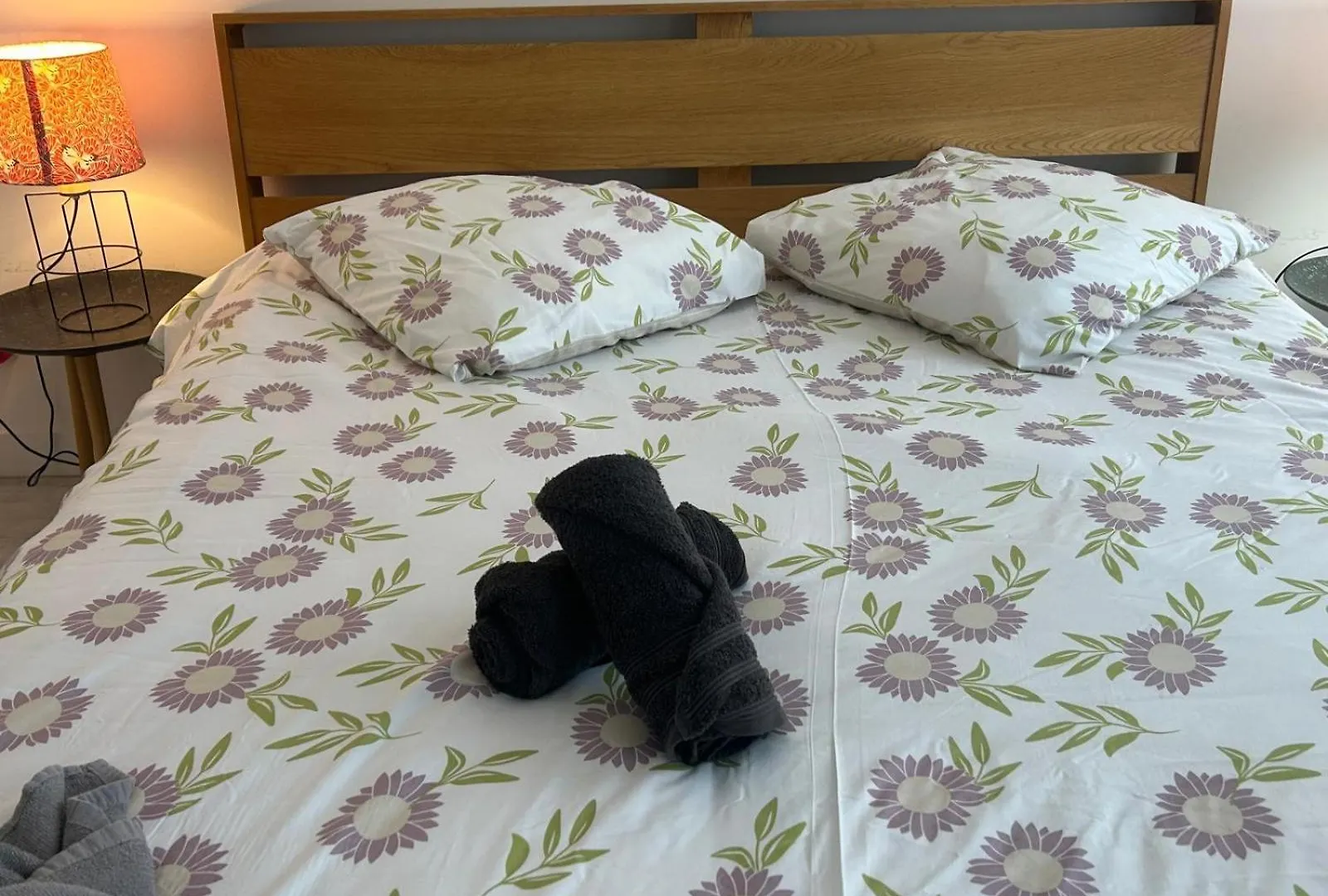 Apartment Poppy-Ideally located, Next station,Gd Palais&City Lille